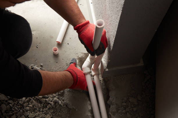 Best Best Plumbers Near Me  in Dimondale, MI